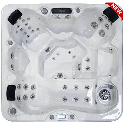 Avalon-X EC-849LX hot tubs for sale in West Desmoines